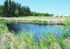 The Water Security Agency recently completed consultation on a draft policy that would use a per-network approach to retaining a certain percentage of wetlands. | File photo