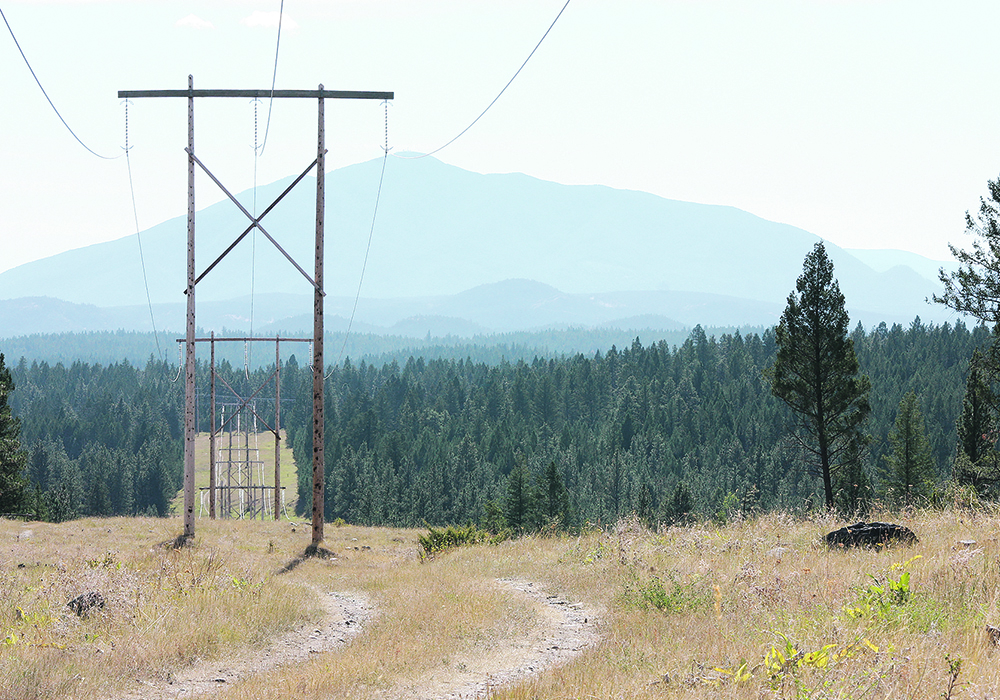 The author writes that transitioning to clean electricity in Canada by 2035 is possible and that Alberta premier Danielle Smith’s opposition to renewable energy isn’t popular in the province, serving only to send the wrong message to the rest of the country.  |  File photo