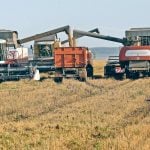 The USDA's Foreign Agricultural Service (FAS) has been way off the mark the past couple of years with its early estimates for the Black Sea country. It initially pegged the 2023-24 crop at 81.5 million tonnes in May 2023. Its most recent forecast calls for 91 million tonnes of production. Many analysts think it will end up closer to 100 million tonnes. | Reuters photo