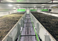 Annelida Soil Solutions has a 90,000 sq. foot facility in Nisku, Alta., that has about 80 million worms that collectively weigh about 36,000 kilograms. They live in one-metre-deep worm beds that are 24 metres long by 2.4 metres wide and are vertically stacked like bunk beds up to several stories high. | Photo by Annelida Soil Solutions