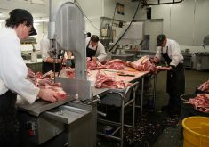 The loss of small and medium-sized processing has been significant, says Dennis Laycraft, executive vice-president of the Canadian Cattle Association. Smaller processors can’t afford to separate specified risk material and non-specified risk material, so large portions of the carcass go to waste compared to larger processors. | File photo