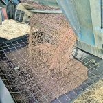 Farmers will plant more lentils than peas for the eighth time in the last 10 years. Pulses are forecast to have good returns compared to other crops, said Agriculture Canada. | File photo