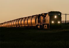 The “just about right” situation was the bottom line of Manitoba agricultural economist Derek Brewin’s presentation at Manitoba Ag Days: we appear to be in a Goldilocks moment in grain-handling with railways and elevator companies both investing in more capacity, providing farmers with good service at competitive prices. | File photo