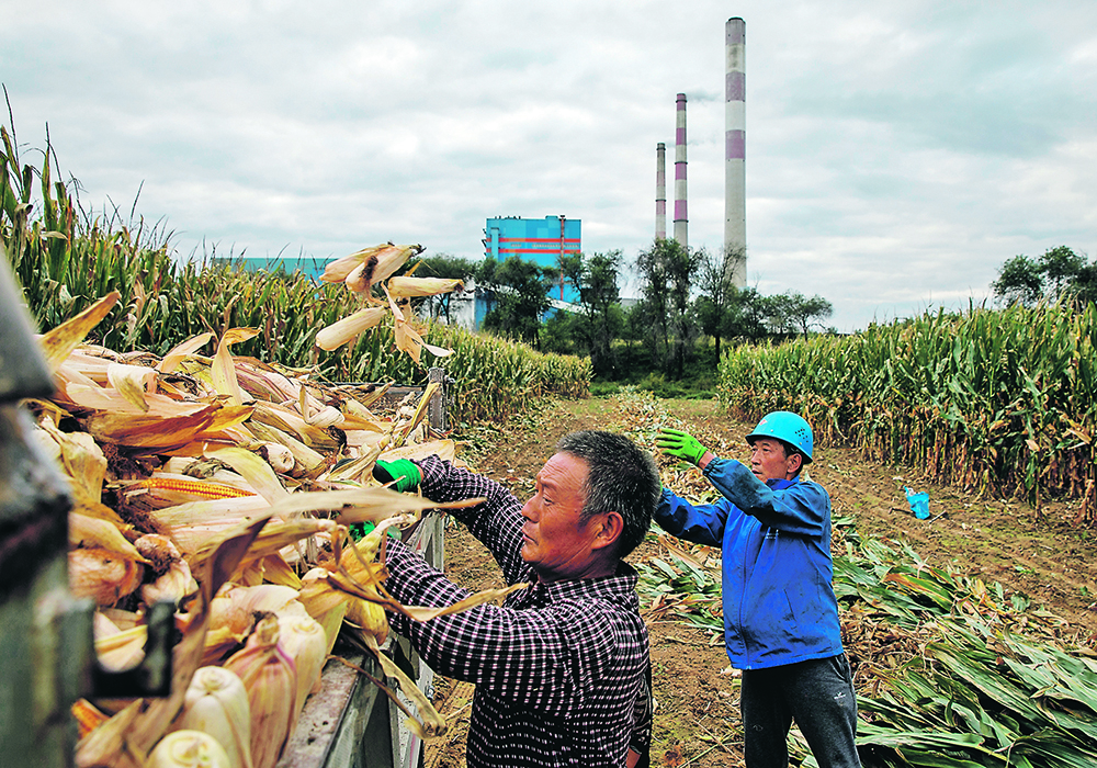 Chinese corn yields have averaged 101 bushels per acre in the last five years compared to 173 bu. in the United States.  |  Reuters/Thomas Peter photo