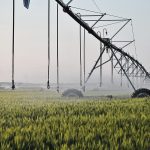 This continues to be the most common way to irrigate on the Prairies, but those using subsurface drip irrigation say it has many advantages. | File photo