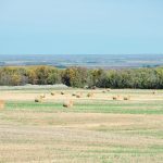 Sparse farmyards dot the landscape looking down from the eastern edge of Manitoba’s Riding Mountain National Park. They are a reflection of the rural depopulation that has been occurring for decades on the Prairies. | Alexis Stockford photo