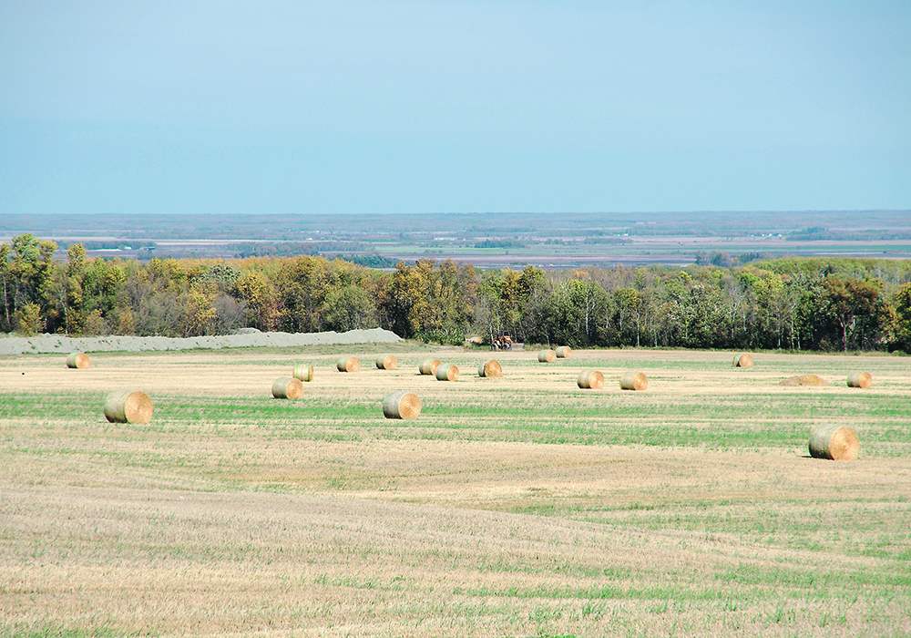 Sparse farmyards dot the landscape looking down from the eastern edge of Manitoba’s Riding Mountain National Park. They are a reflection of the rural depopulation that has been occurring for decades on the Prairies.  |  Alexis Stockford photo