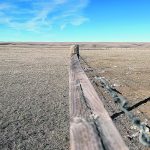 The Saskatchewan Crop Insurance Corp. says less than 20 percent of the province’s insurable grazing acres participated in the Forage Rainfall Insurance Program last year. | File photo