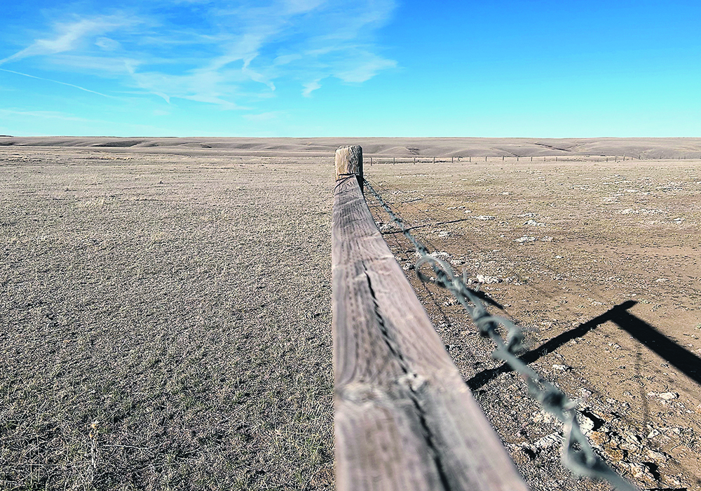 The Saskatchewan Crop Insurance Corp. says less than 20 percent of the province’s insurable grazing acres participated in the Forage Rainfall Insurance Program last year.  |  File photo