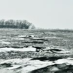 Strong winter winds played havoc last month on fields near Morden, Man. Topsoil has loosened and sits on top of snow drifts as well in the ditches. | Jeannette Greaves photo