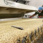 Avena is a specialty miller that provides food, beverage and pet manufacturers with pulse flours, grit and fibres as well as purity protocol gluten-free oat ingredients. | File photo