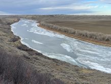 Last year several rivers in Alberta experienced monthly average flows at or near record lows, including the Peace, Bow, Oldman and South Saskatchewan rivers as well as Willow Creek. This image is of the South Saskatchewan River last December when it was at its second lowest level in the past 23 years.  |  Alex McCuaig photo