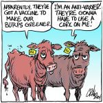 Cattle producers must be part of a methane win-win