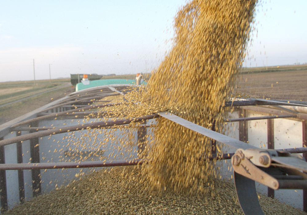 The chief worry carried forward was last year’s slumping grain markets, especially soybeans. August 2024 soybean futures skidded from nearly $14 per bushel in mid-November to less than $12.50 per bu. by late January with little sign of slowing. | File photo