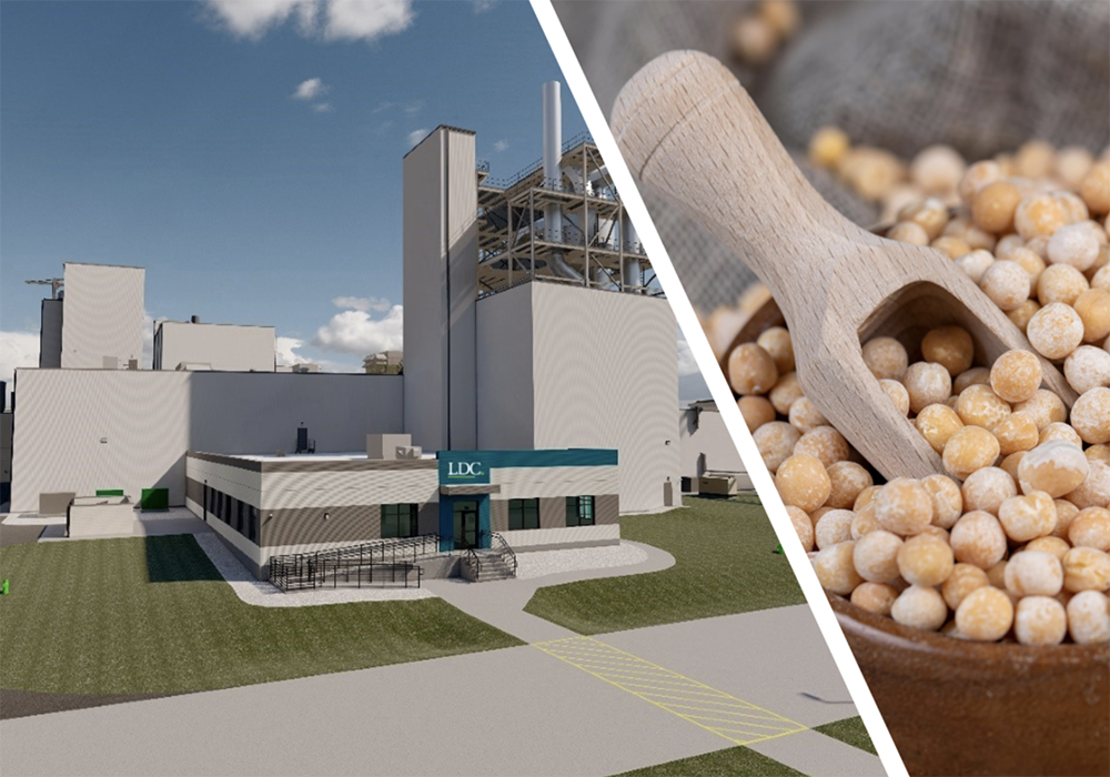 The company will build the facility at its existing industrial complex in Yorkton and aims for it to be ready by the end of 2025, it said today in a statement. | Screencap via ldc.com