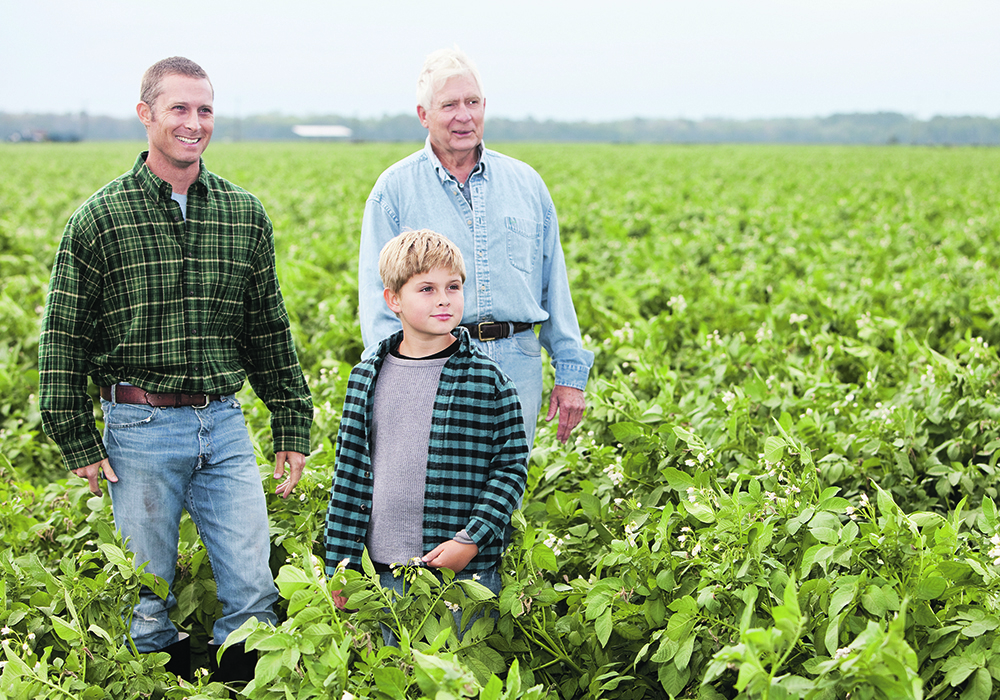 Bill C-208 amended the federal Income Tax Act to exclude the intergenerational transfer of farms and other small businesses from anti-avoidance rules. Under the changes, those transfers now receive the same capital gains treatment as do businesses selling to unrelated parties.  |  Getty Images