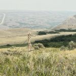 A recent global study found that a severe one-year drought collectively caused a 40 percent loss in plant growth in grasslands and shrublands around the world, while normal droughts collectively caused a 20 percent reduction. However, the average loss in plant growth at two sites in Alberta caused by extreme drought was only 10 percent, with severity likely to increase closer to the equator. | File photo