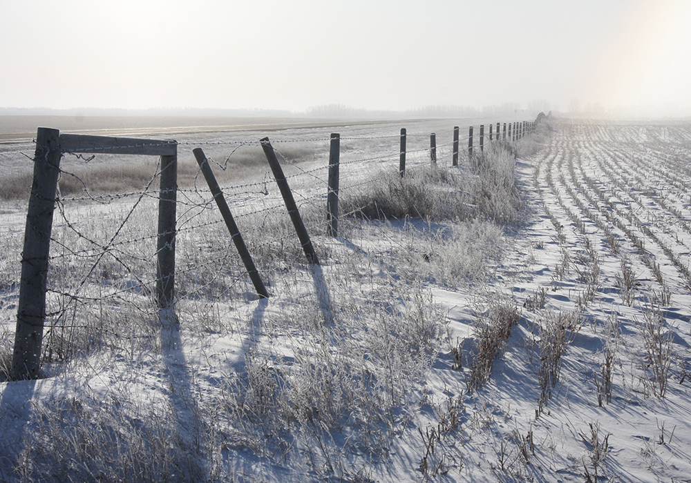 January started off warm. Then winter showed up in full force, bringing record-breaking cold weather, especially over the western half of the Prairies. | File photo