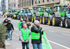 German farmers have railed against plans to end subsidies or tax breaks on agricultural diesel, among other things.  |  Reuters/Fabrizio Bensch photo