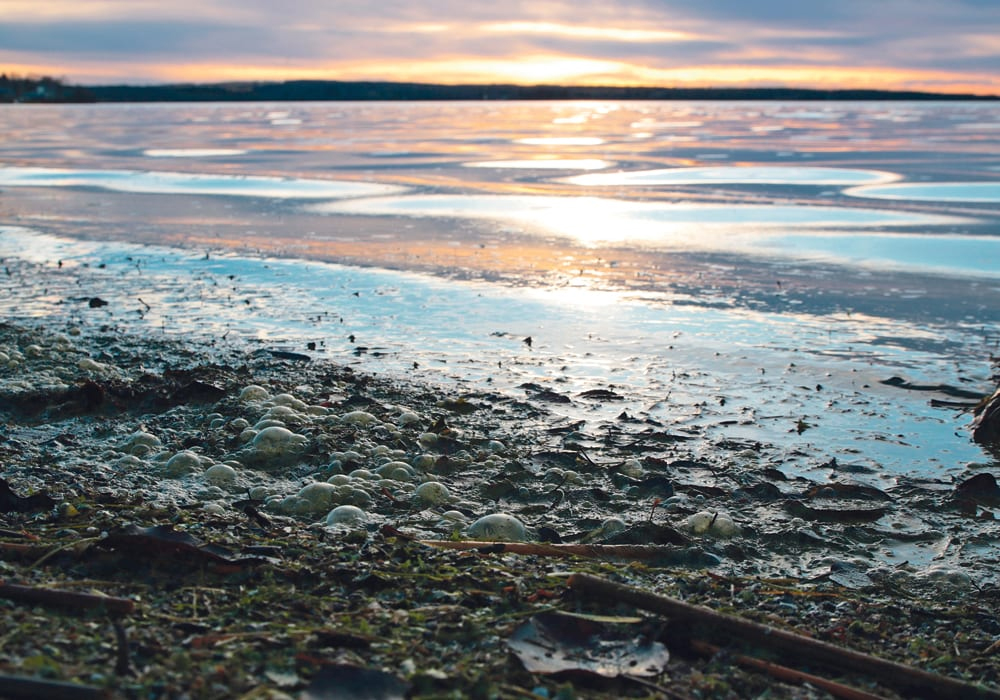 Nitrate contamination of rural — and, increasingly, downstream urban and suburban — water sources is a deadly, here-and-now problem, and yesterday’s denials and today’s delays won’t be suffered silently by a now better informed, increasingly endangered public. | File photo