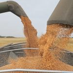 Overall, the grain economy is facing starkly lower returns than those enjoyed in recent years. Markets can change, but it’s difficult to imagine events that would turn the picture around. | File photo