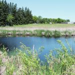 Beaver activity can help preserve wetlands, and experts say research has shown that a wetland is like the tip of an iceberg; the surface is a fraction of the total water storage volume. | File photo