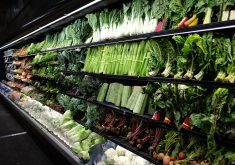 Sharon Raszap Skorbiansky, research economist with the U.S. Department of Agriculture's Economic Research Service, said it has been a tough couple of years for the industry. The U.S. experienced 9.9 percent food price inflation in 2022, the highest since 1978. | Getty Images