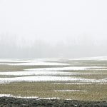 Rain eats up the already slim snow pack outside of Kemnay in western Manitoba thanks to a string of warm weather in February. | Alexis Stockford photo