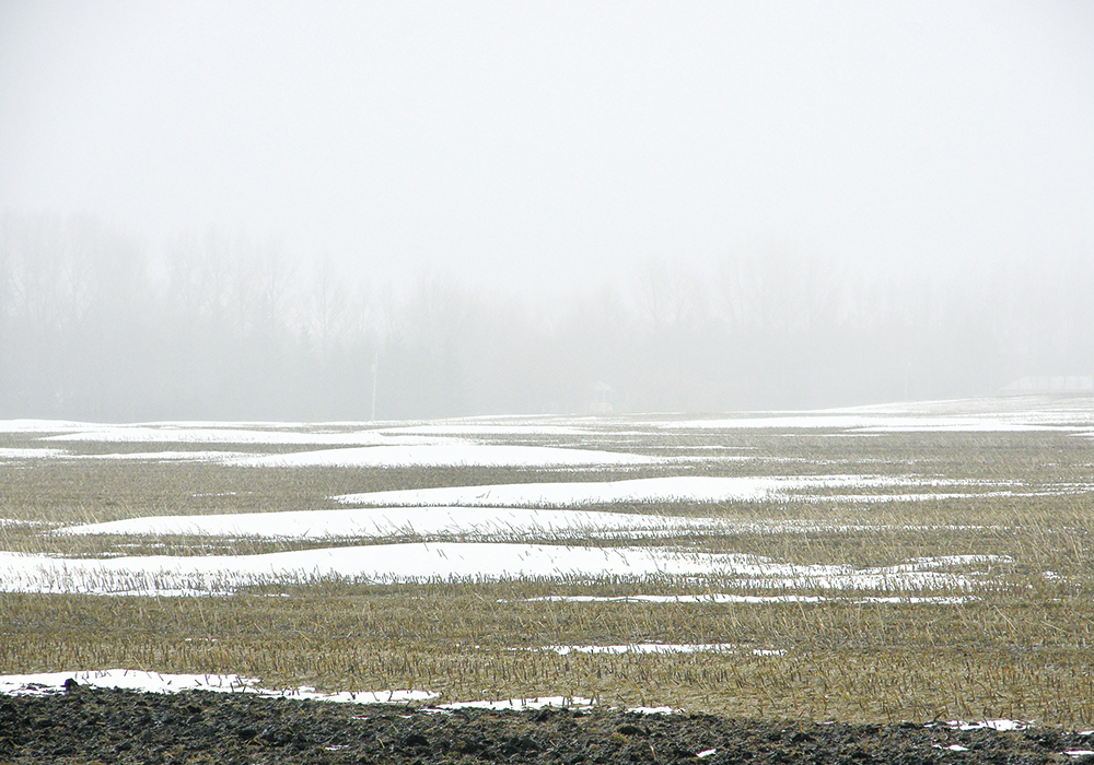 Rain eats up the already slim snow pack outside of Kemnay in western Manitoba thanks to a string of warm weather in February.  |  Alexis Stockford photo
