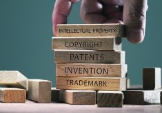 A University of Manitoba agricultural economics professor has written a briefing paper that says strengthening intellectual property rights is one of the ways to create more favourable conditions to foster investment in the agri-food industry.  |  Getty Images