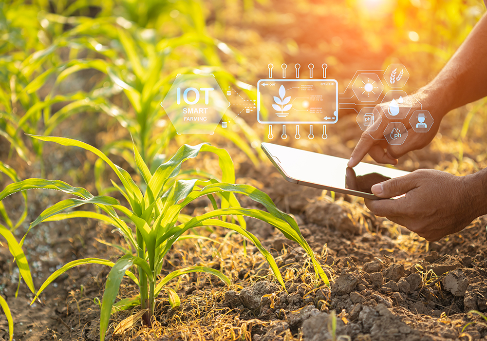 Precision agriculture technologies remain a popular investment choice, and for good reason. | Getty Images