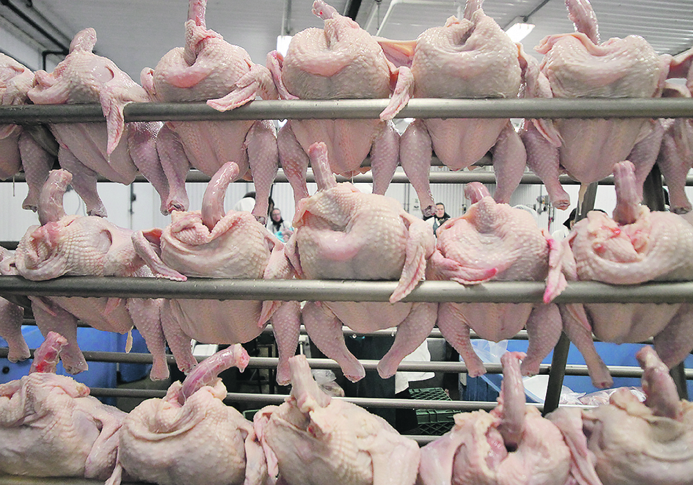 The author writes that no one begrudges farmers a fair living, but chicken farmers need to be up front about why they need a price increase.  |  File photo
