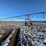 In a Feb. 12 update to ratepayers, the St. Mary River Irrigation District outlined the situation, noting the system made minor gains through January but reservoirs are sitting well below the usual winter levels. | Alex McCuaig photo