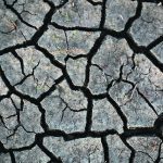 An agroclimate specialist with Agriculture Canada says droughts are the costliest natural disasters because they can affect industries, health, tourism, transportation, energy and forestry sectors in addition to agriculture. | File photo