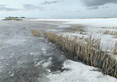 Spring runoff is expected to be well below normal in most of the province. | File photo