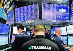 "The month of March should be a catalyst that should at least start to stabilize things, I would think," said a canola trader who preferred to remain anonymous. | Reuters photo