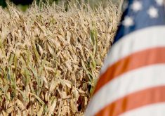 Declining income could lead to a ripple effect across the rural economy in a presidential election year as producers become more cautious about making large asset purchases such as new machinery or land. | File photo