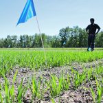 Producers are becoming increasingly frustrated with the federal government’s insistence that agriculture research be conducted through a climate change lens, saying there’s too much focus on “dogs that don’t hunt.” | File photo