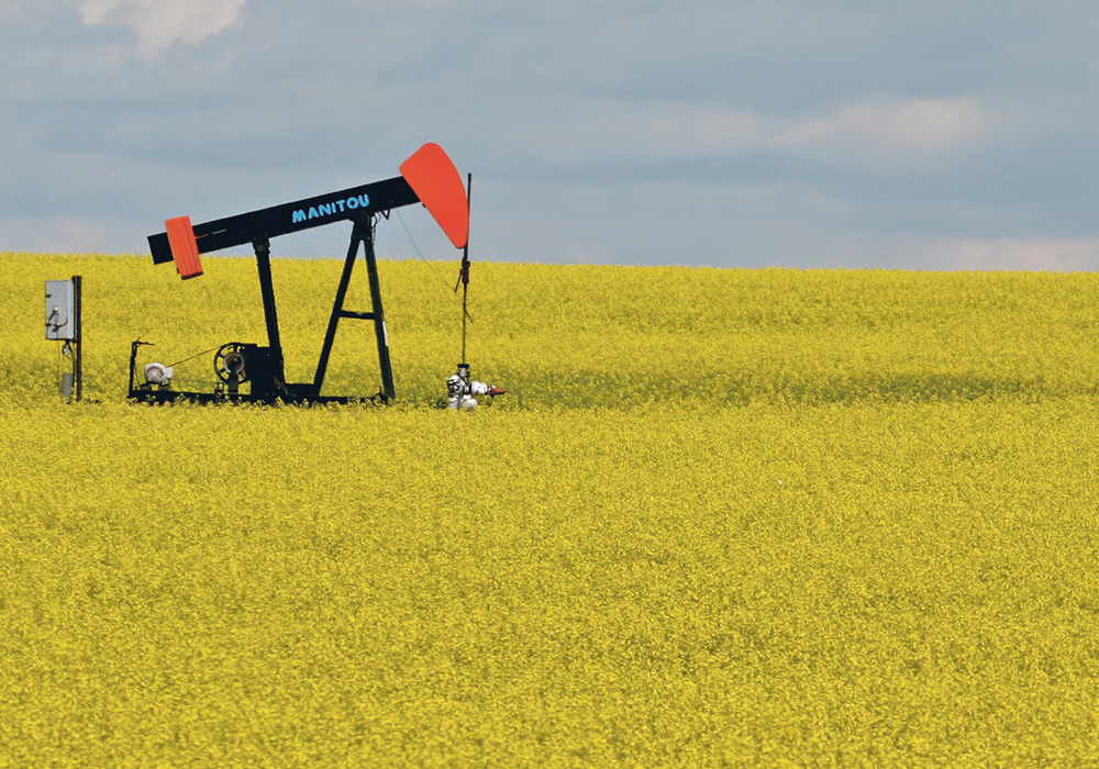 “A lot of work has been done by the industry and the grower associations to try and make it as streamlined as possible,” Brian Conn, vice-chair of the Canadian Oilseed Processors Association (COPA), said during a recent webinar. | File photo