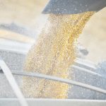 Corn is important for the whole grain complex because it tends to set the tone for the market. | File photo
