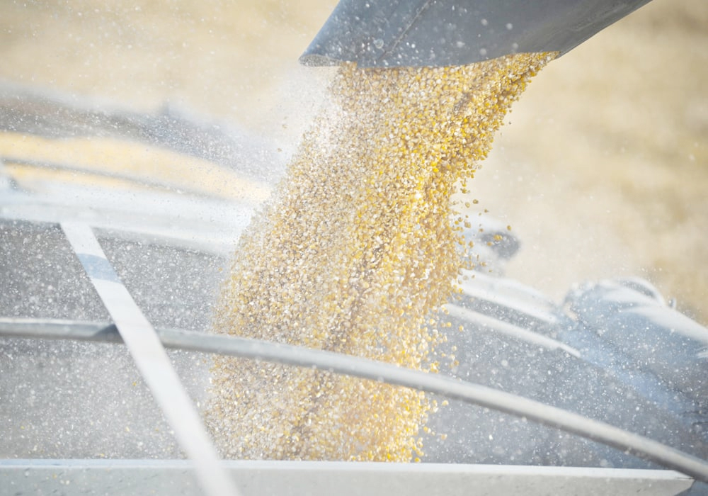 Corn is important for the whole grain complex because it tends to set the tone for the market. | File photo