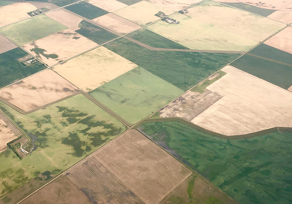 Tim Hammond, chief executive officer of Hammond Realty, says farmland sales and prices surged after harvest, but the optimism has now moderated. | Getty Images