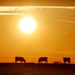 “Consumers around the world are counting on us to increase sustainable food production, and to do so, we will need to take on new risks, new beginnings, and form new partnerships,” said Justine Hendricks at Canada’s Agriculture Day in Ottawa. | File photo