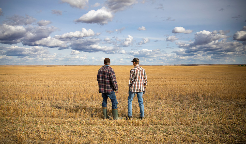 Developing a plan to manage herbicide-resistant weeds should involve a "Four R" approach similar to nutrient management, including the right source, right rate, right place and right time as well as a fifth: the right chemical rotation. | Bayer Crop Science photo