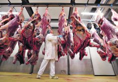 Opposition to the Comprehensive Economic and Trade Agreement that Canada and the European Union signed in 2016 has always been widespread in Europe, particularly among French meat farmers, who say their country would be flooded with “hormone-doped meat from Canada.”  |  Reuters/Yves Herman photo