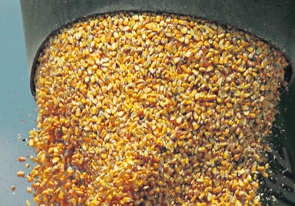 American producers want the next farm bill to increase reference prices for crops under the Title 1 Commodity Programs so that they are “more reflective of current input costs and costs of production.”  |  File photo