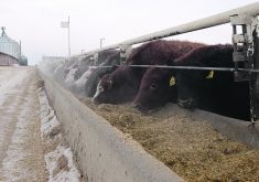 Bovaer is a powdered supplement that cattle feeders and dairy producers can mix with feed to reduce the amount of methane their animals produce.  |  File photo