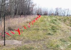 Fladry wire is put to the test on Bonnie Mackay’s farm near Sandy Lake, Man., as part of a three-year Livestock Predation Prevention Pilot in Manitoba.  |   Bonnie Mackay photo