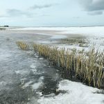 February was a much warmer month than normal across the Prairies. | File photo