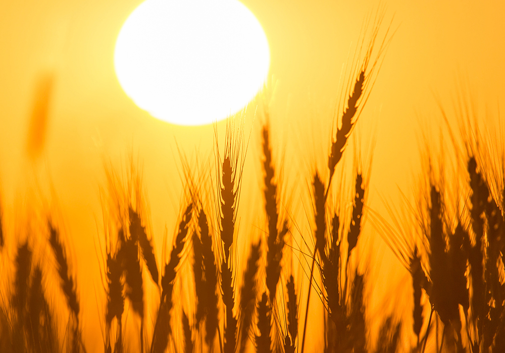 John Baranick, DTN's meteorologist, has determined that it will likely be a warmer-than-normal spring across the U.S., especially in the north. | Getty Images